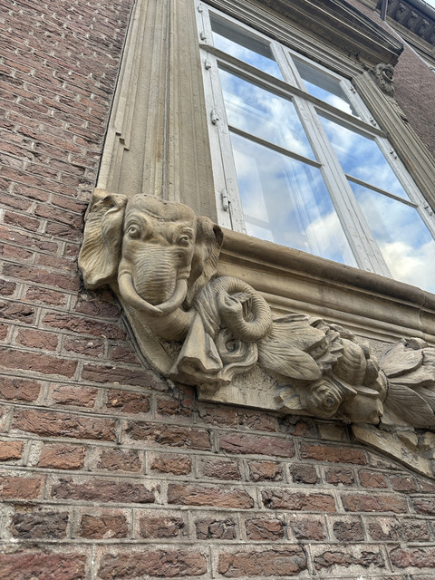 IMG-7255
