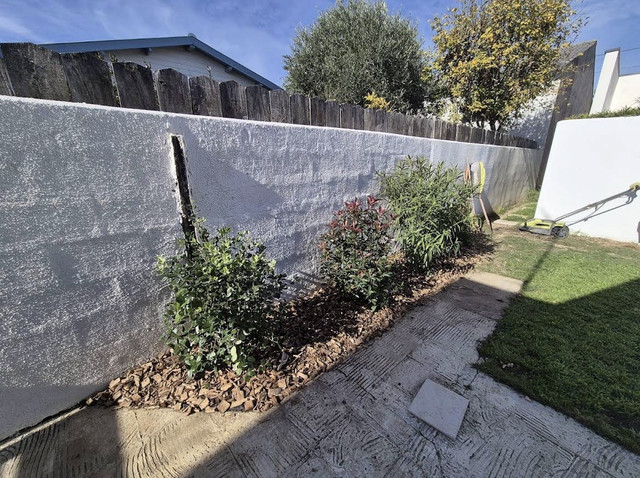 Taille et entretien jardin La Rochelle