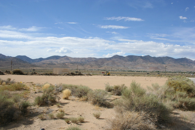 IMG 7939.jpg