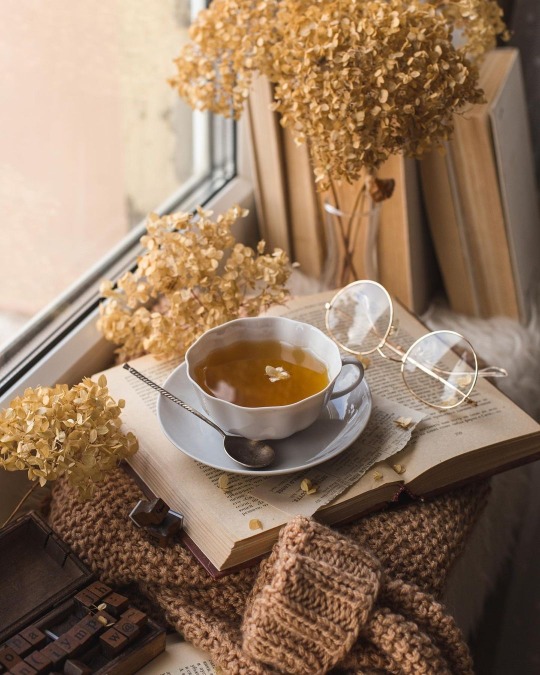 tumblr-08b5a5ed2f39487b815beab4841328eb-4a1261f7-540