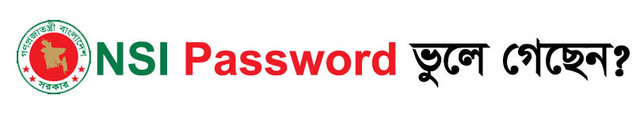 NSI Password Recovery