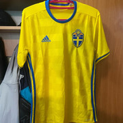swe1