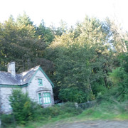 DSCF5503
