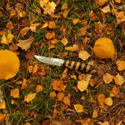 IMG-6036
