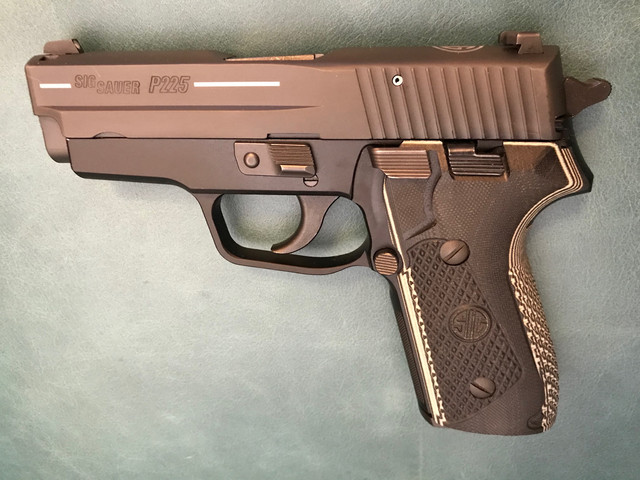 P225.jpg