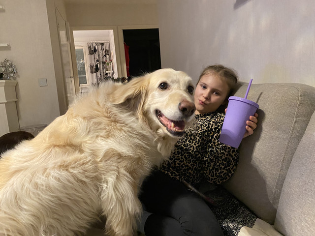 26-A21-ACA-F70-A-415-F-8-A69-73-D0-AE51-