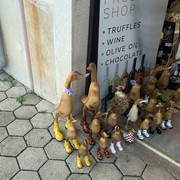 IMG-9411