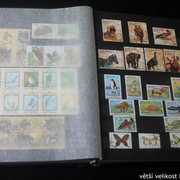 IMG-2251