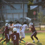 IMG-5266
