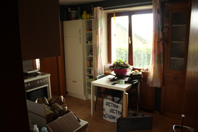 IMG-0498