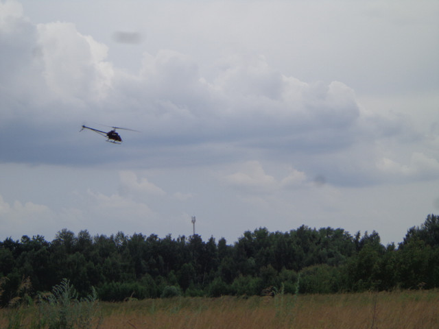 DSC00892.jpg