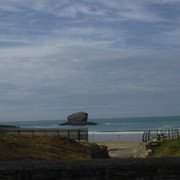 DSCF5471