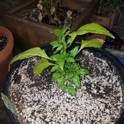 20191013_064008 (2)