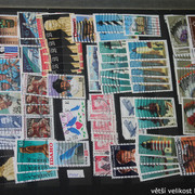 IMG-3092