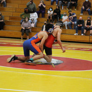 IMG-0259