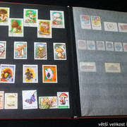 IMG-2332