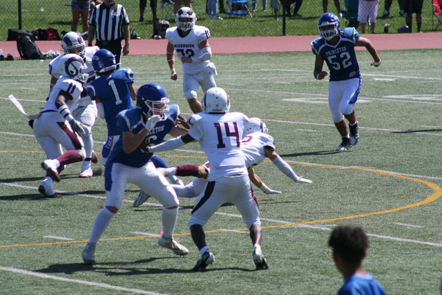 IMG-5679.jpg