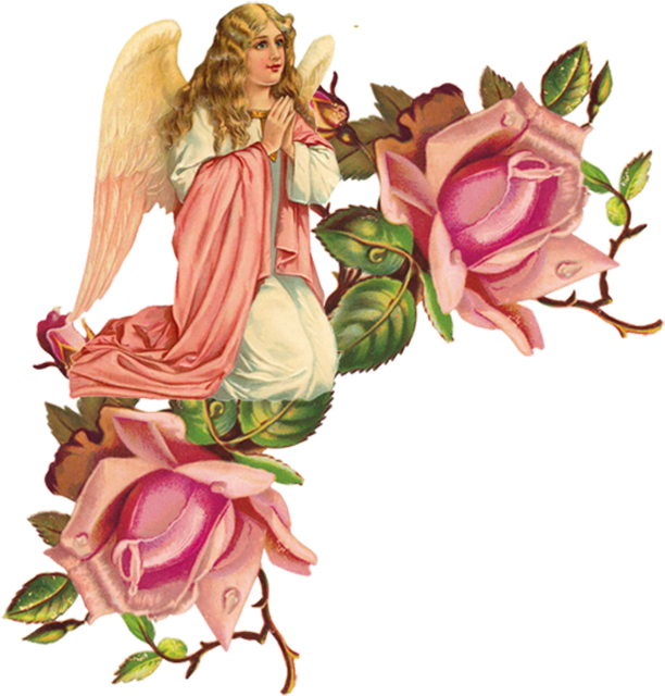 0-15b24e-301568f-orig