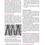 Page-00358