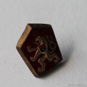 IMG-6802