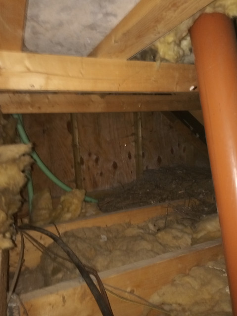 attic2