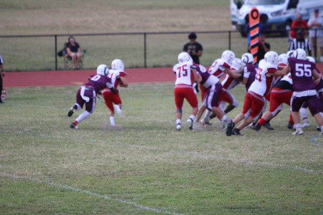 IMG-2278.jpg