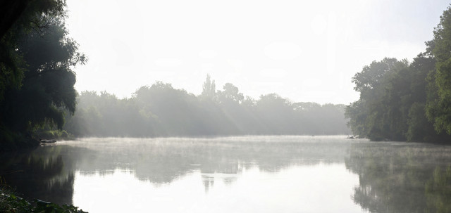 100f0055m