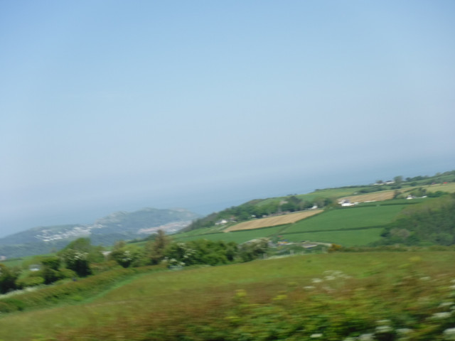 DSCF7871