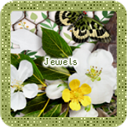 Jewels-4318-A