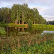 DSCF4050