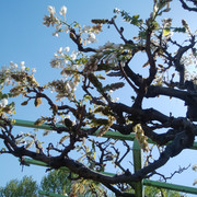 DSC-0061
