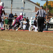 IMG-7984