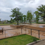 IMG-20230530-094329