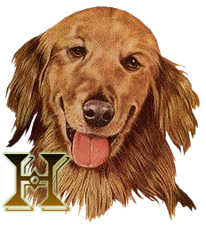 h.gif