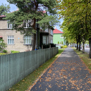 IMG-2579
