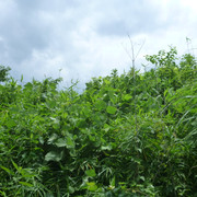 P1320238