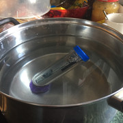 IMG-2630