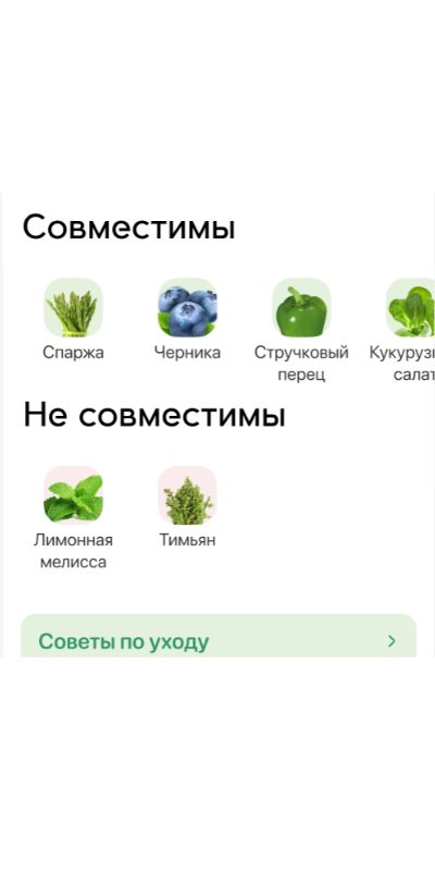 Как выращивать грибы в домашних условиях