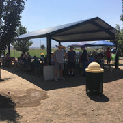 Picnic2018 (15)