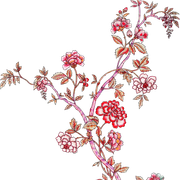 nohat-bg-removed-e3d259fc
