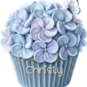 bb Christygmspringava