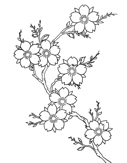 edcd48e9b7451e7c98fd135744d3fe23.png