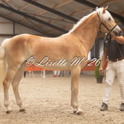 19 1
