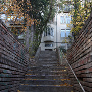 IMG-1330