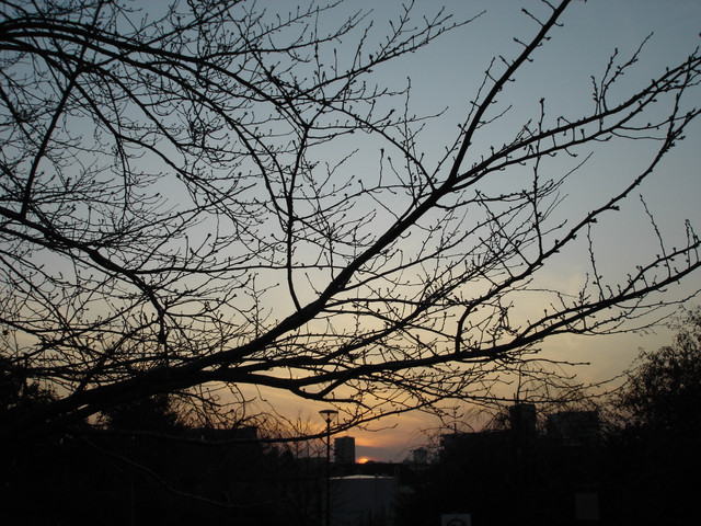 2011-12-21-151.jpg