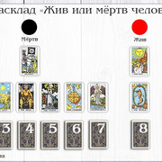 869a7332e8a1a02f72d097474fa84c1f