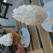 IMG-5247