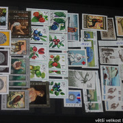IMG-3422
