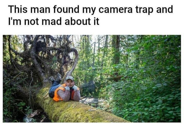 cameratraps.jpg