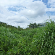 P1320417